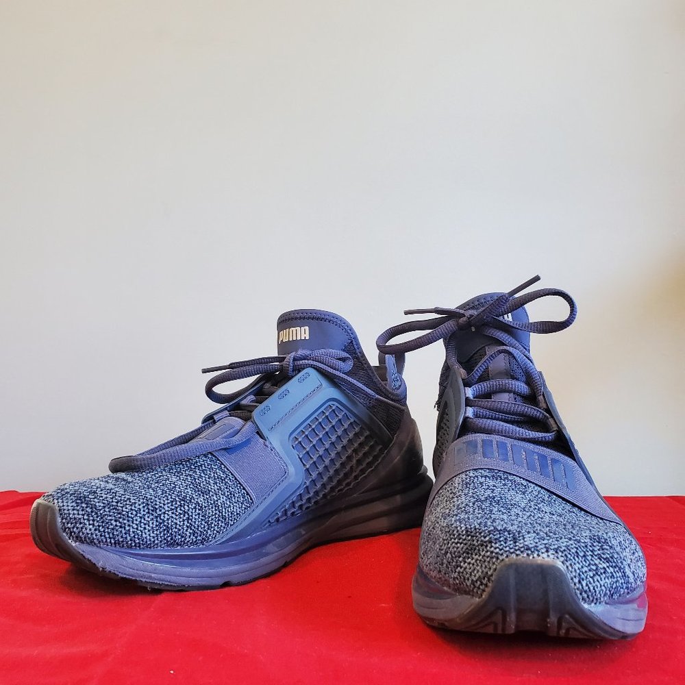 Blue Puma Ignites Size 10